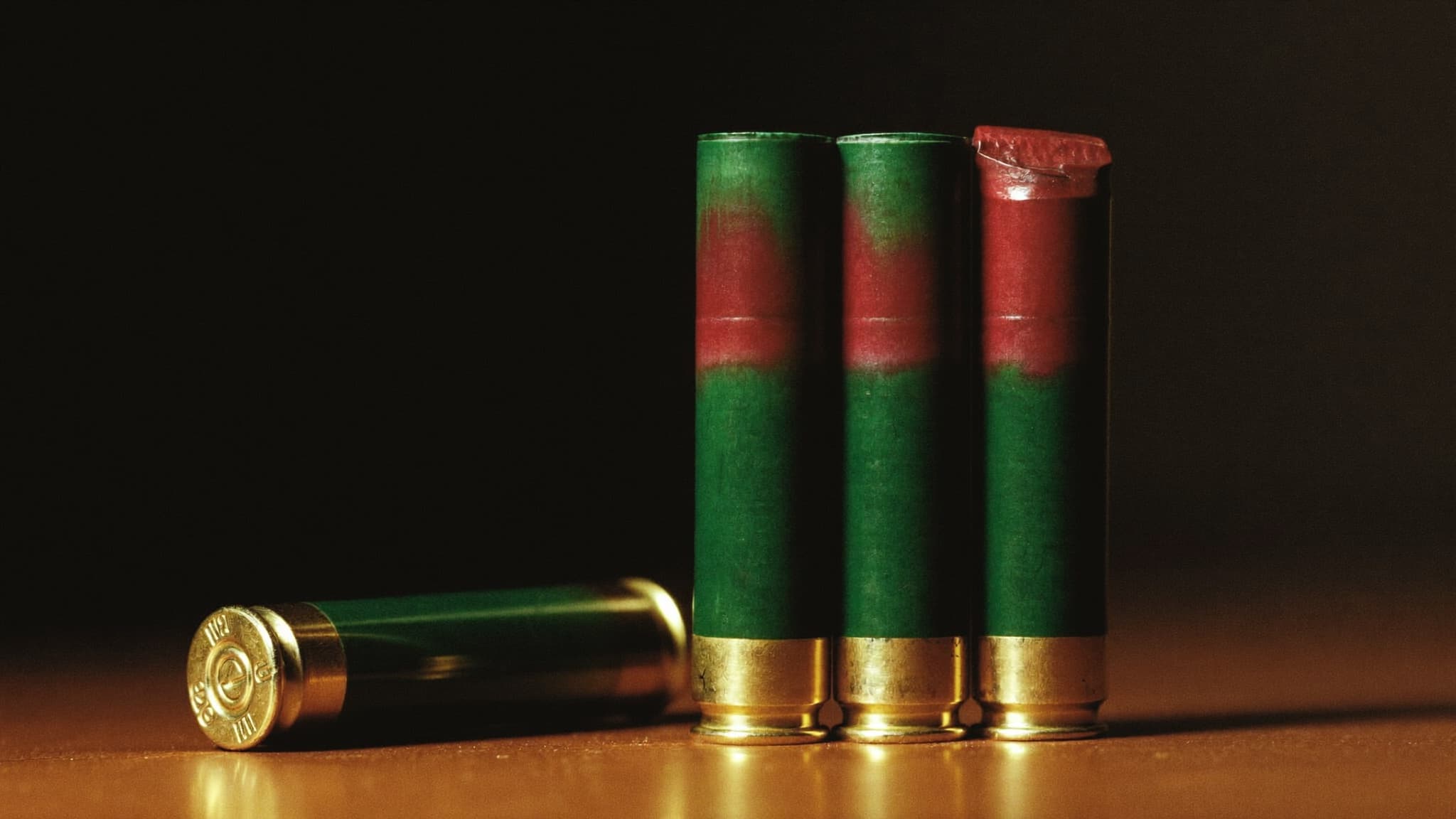 Shotgun ammunition